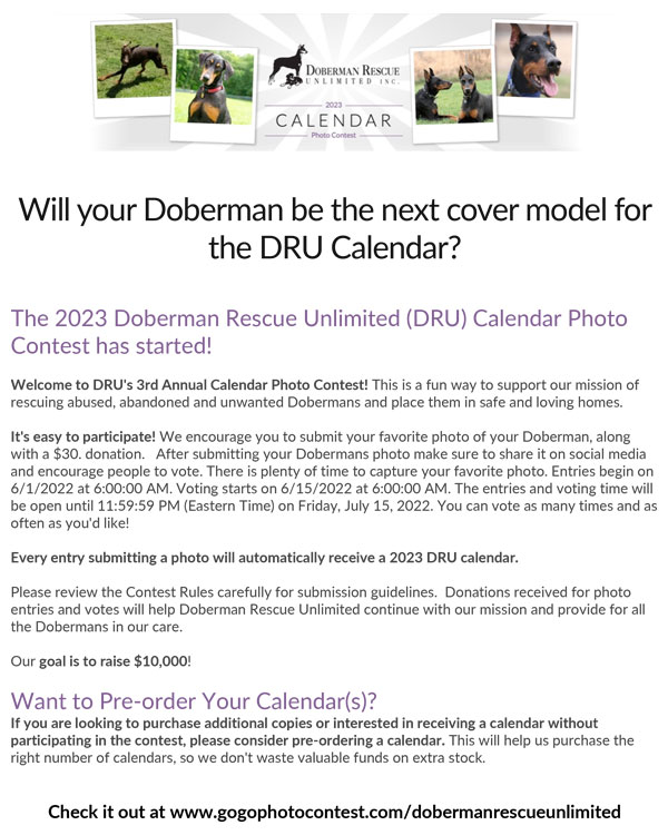 Cover photo for Will Your Doberman Be the Next Cover Model for the DRU Calendar event